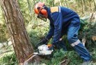 Tullahtree-cutting-services-21.jpg; ?>